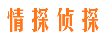 勉县婚外情调查取证